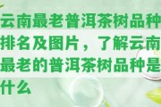 云南最老普洱茶樹品種排名及圖片，熟悉云南最老的普洱茶樹品種是什么