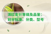 滇紅金針等級(jí)及品鑒：劃分標(biāo)準(zhǔn)、分類、型號(hào)