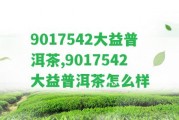 9017542大益普洱茶,9017542大益普洱茶怎么樣