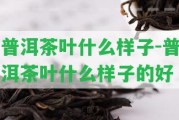 普洱茶葉什么樣子-普洱茶葉什么樣子的好