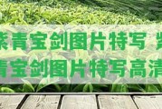 紫青寶劍圖片特寫 紫青寶劍圖片特寫高清