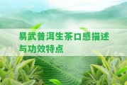 易武普洱生茶口感描述與功效特點(diǎn)