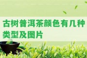 古樹(shù)普洱茶顏色有幾種類(lèi)型及圖片