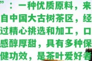 “行天號(hào)金版納普洱茶”：一種優(yōu)質(zhì)原料，來(lái)自中國(guó)大古樹(shù)茶區(qū)，經(jīng)過(guò)精心挑選和加工，口感醇厚甜，具有多種保健功效，是茶葉愛(ài)好者和健生活者的首選。