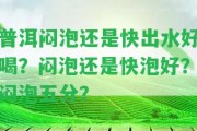 普洱悶泡還是快出水好喝？悶泡還是快泡好？悶泡五分？