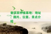 普洱茶種植基地：地址、圖片、位置、景點(diǎn)介紹