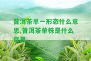 普洱茶單一形態(tài)什么意思,普洱茶單株是什么意思