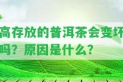 高存放的普洱茶會變壞嗎？起因是什么？