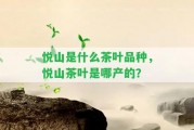 悅山是什么茶葉品種，悅山茶葉是哪產的？