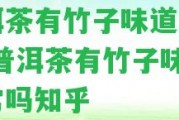 普洱茶有竹子味道正常嗎-普洱茶有竹子味道正常嗎知乎