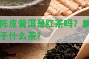 陳皮普洱是紅茶嗎？屬于什么茶？