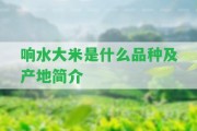 響水大米是什么品種及產(chǎn)地簡介