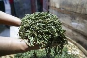 紅茶菌多久喂一次糖啊？幾天喂一次？詳細(xì)視頻分享！