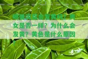 喝普洱尿會發(fā)黃嗎？男女是不是一樣？為什么會發(fā)黃？黃色是什么起因？