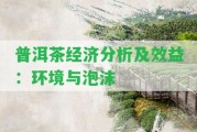 普洱茶經(jīng)濟(jì)分析及效益：環(huán)境與泡沫