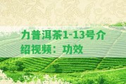 力普洱茶1-13號介紹視頻：功效 