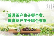 普洱茶產(chǎn)生于哪個省,普洱茶產(chǎn)生于哪個省份