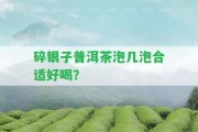 碎銀子普洱茶泡幾泡合適好喝？