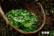 軟枝烏龍茶優(yōu)劣_軟枝烏龍茶的功效