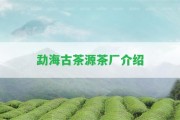 勐海古茶源茶廠介紹