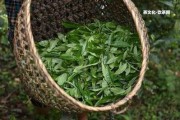 芳香型普洱茶的優(yōu)點有哪些？