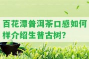 百花潭普洱茶口感怎樣樣介紹生普古樹？