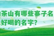 勐茶山有哪些寨子名稱及好喝的名字？