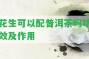 花生可以配普洱茶嗎功效及作用