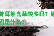 普洱茶含草酸多嗎？起因是什么？