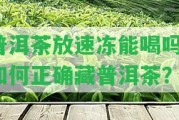 普洱茶放速凍能喝嗎？怎樣正確藏普洱茶？