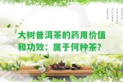 大樹(shù)普洱茶的藥用價(jià)值和功效：屬于何種茶？