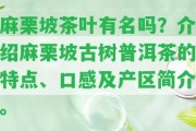 麻栗坡茶葉有名嗎？介紹麻栗坡古樹普洱茶的特點(diǎn)、口感及產(chǎn)區(qū)簡介。