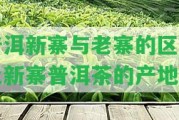 普洱新寨與老寨的區(qū)別及新寨普洱茶的產(chǎn)地