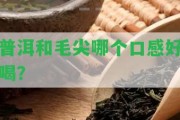 普洱和毛尖哪個(gè)口感好喝？