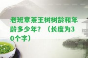 老班章茶王樹樹齡和年齡多少年？（長度為30個(gè)字）