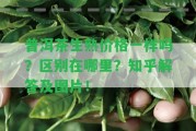 普洱茶生熟價(jià)格一樣嗎？區(qū)別在哪里？知乎解答及圖片！