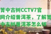 箐中古樹CCTV7官網(wǎng)介紹普洱茶，熟悉箐中古樹普洱茶怎么樣