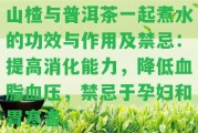 山楂與普洱茶一起煮水的功效與作用及禁忌：提升消化能力，減少血脂血壓，禁忌于孕婦和胃寒者。