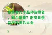 白茶有幾個品種及排名，哪個最貴？附安白茶品種及圖片大全