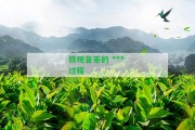 鐵觀音茶的  過(guò)程