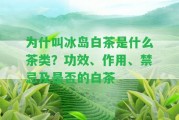 為什叫冰島白茶是什么茶類？功效、作用、禁忌及是不是的白茶