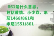  861是什么意思，包含愛(ài)情、小少焱、米茄1468/861和米茄1551/861？