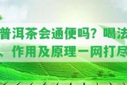 普洱茶會通便嗎？喝法、作用及原理一網打盡