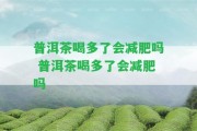 普洱茶喝多了會(huì)減肥嗎 普洱茶喝多了會(huì)減肥嗎