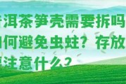 普洱茶筍殼需要拆嗎？怎樣避免蟲蛀？存放時要留意什么？