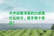 大中山普洱茶的口感是什么樣子，屬于哪個茶區(qū)？