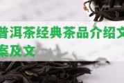 普洱茶經(jīng)典茶品介紹文案及文