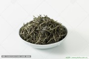 博白油茶和紅皮毛茶的分類(lèi)探討