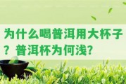 為什么喝普洱用大杯子？普洱杯為何淺？