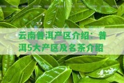 云南普洱產(chǎn)區(qū)介紹：普洱5大產(chǎn)區(qū)及名茶介紹